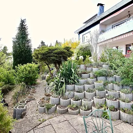 Apartman Alpenblick